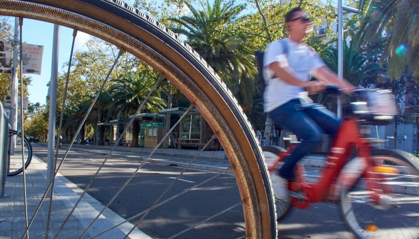 Person riding a bicycle on a sunny day