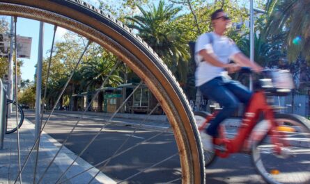 Person riding a bicycle on a sunny day
